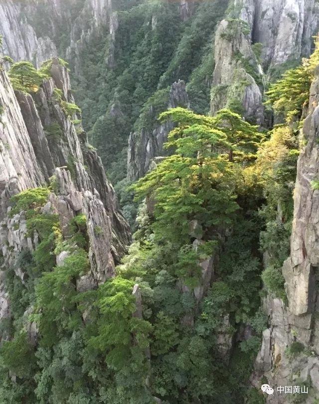 逃离违建房屋7